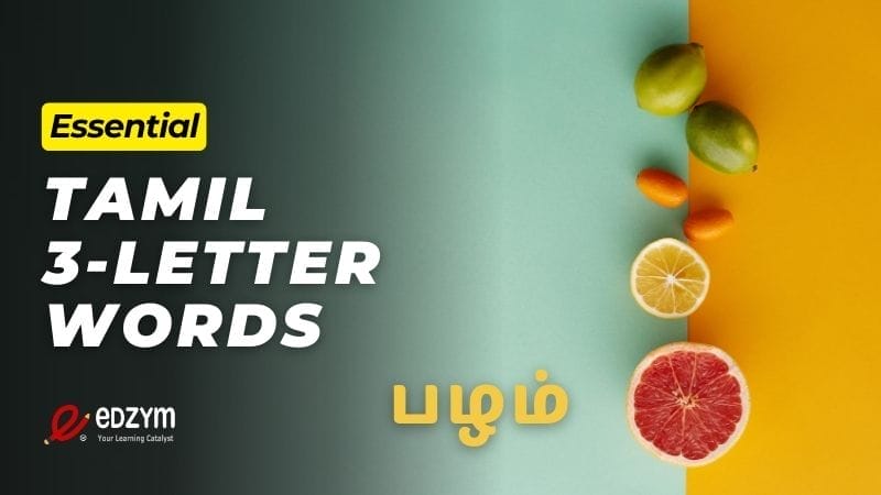 Three Letter Tamil Words