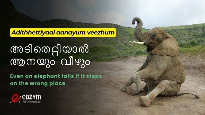 Adithhettiyaal aanayum veezhum malayalam pazhamchollu