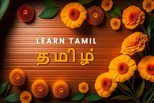Learn Tamil easily in a modern way