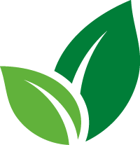 EVS classes online for kindergarten students