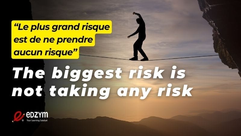 French quote on life - The biggest risk in life
