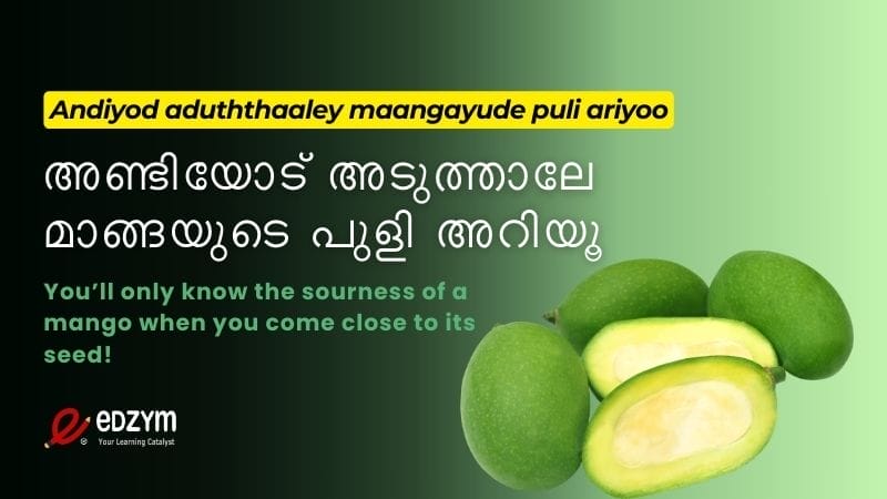 Malayalam proverb mango seed
