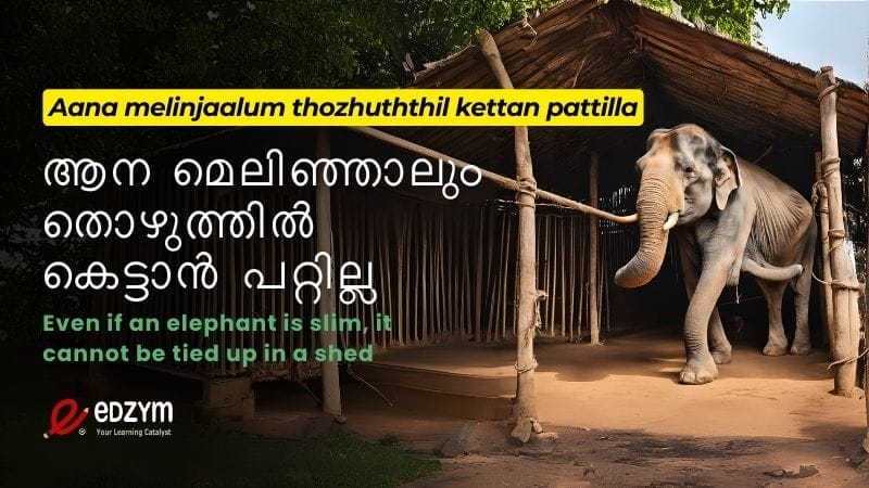 Malayalam pazhamchollu aana melinjaal