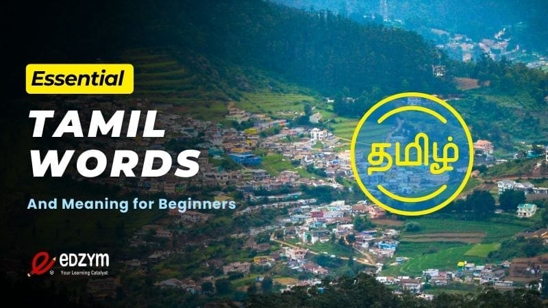 Tamil Words and Meaning in English